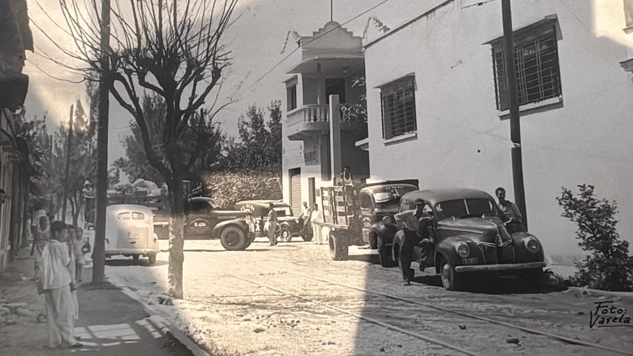 Camiones de reparto de El Alba estacionados en la calle
